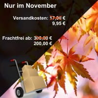 Frachtkosten-Aktion im November!